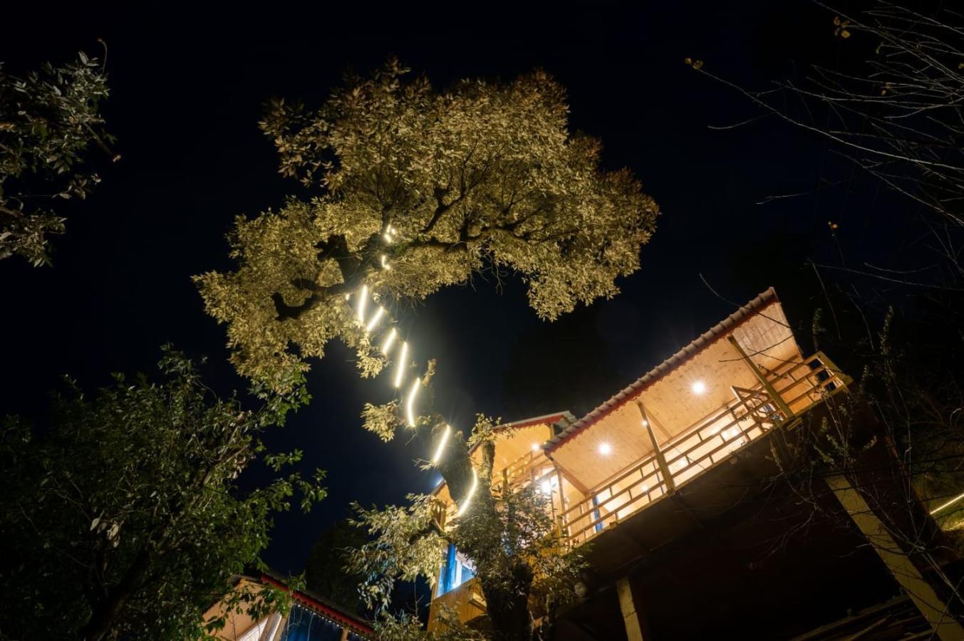 Into The Woods Treehouse Jibhi Villa Exterior photo